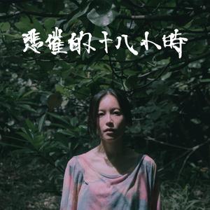 工作代理小狼导航
