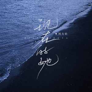 工作代理小狼导航
