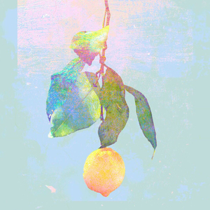 工作代理小狼导航
